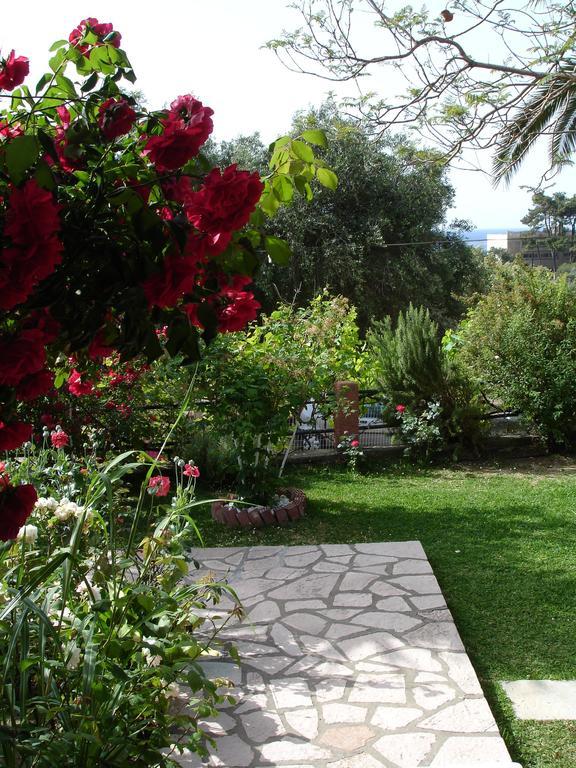 Bozikis Apartments & Studios Paleokastritsa Luaran gambar