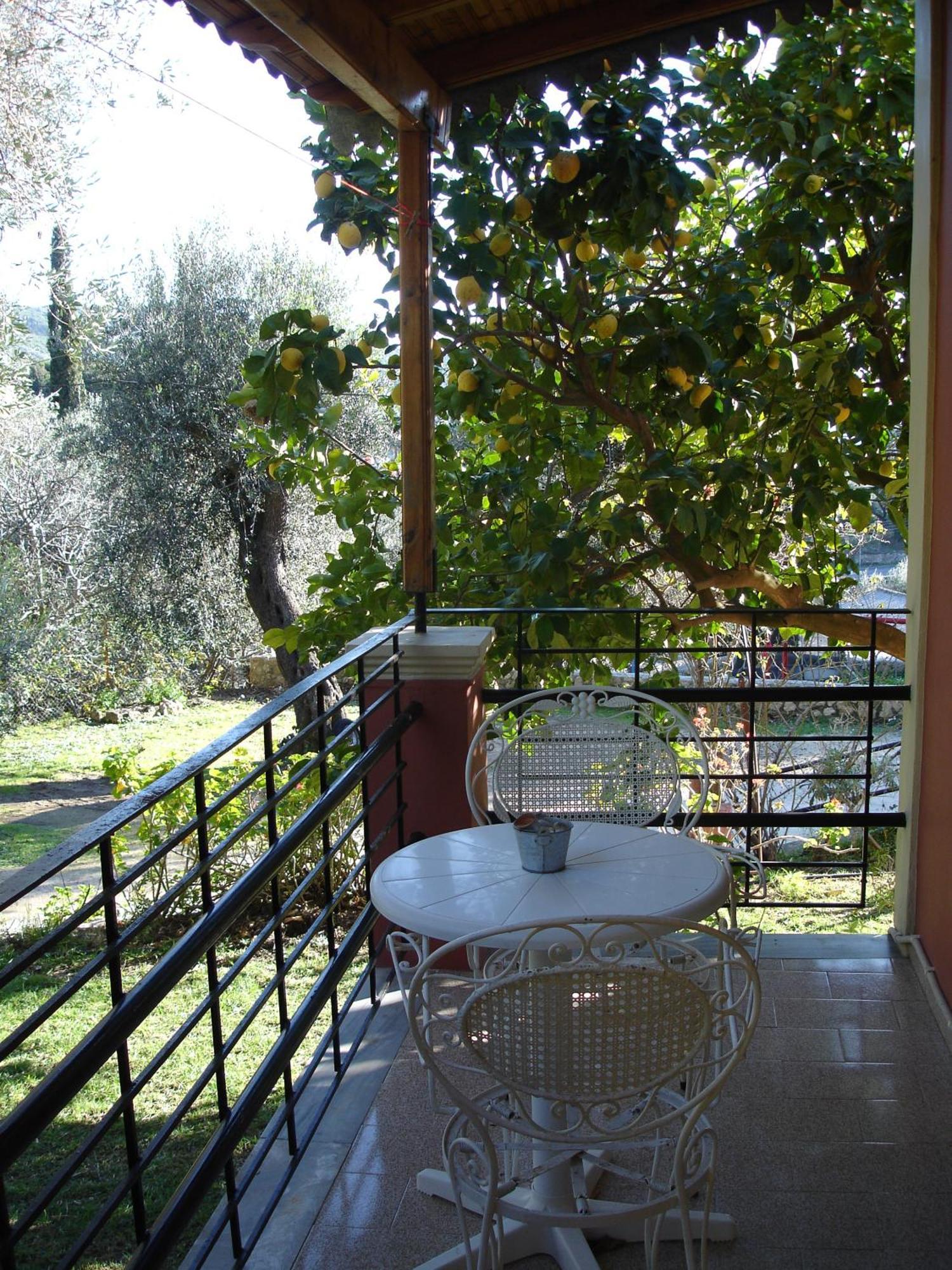 Bozikis Apartments & Studios Paleokastritsa Luaran gambar